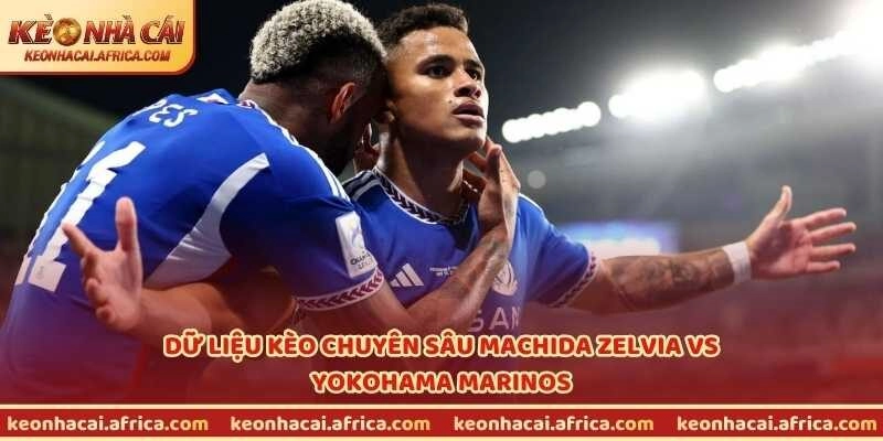 Dữ liệu kèo chuyên sâu Machida Zelvia vs Yokohama Marinos